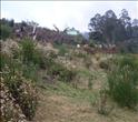 Land for sale at Ooty 